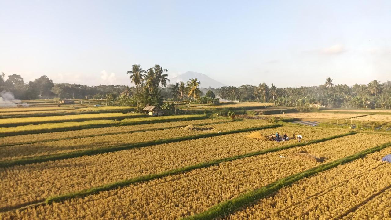 Apartament Gending Sari House Ubud Zewnętrze zdjęcie